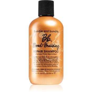 Bumble and Bumble Bb.Bond-Building Repair Shampoo șampon regenerator pentru utilizarea de zi cu zi 250 ml