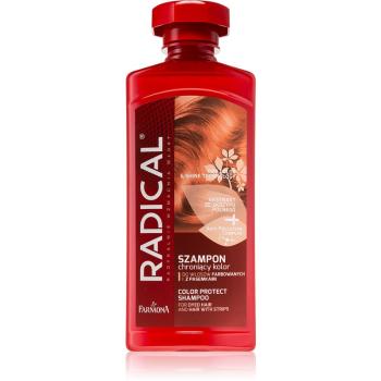 Farmona Radical Dyed Hair șampon pentru protecția părului vopsit 400 ml