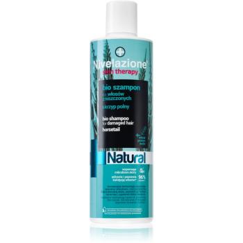 Farmona Nivelazione Natural șampon fortifiant pentru păr deteriorat 300 ml