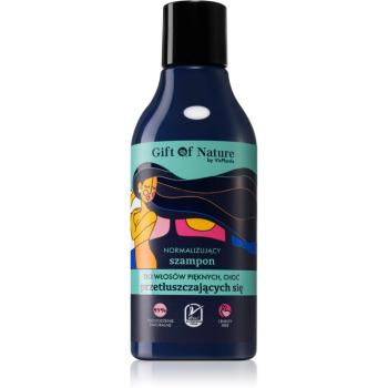 Vis Plantis Gift of Nature șampon pentru păr gras 300 ml