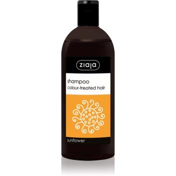 Ziaja Family Shampoo șampon pentru păr vopsit 500 ml
