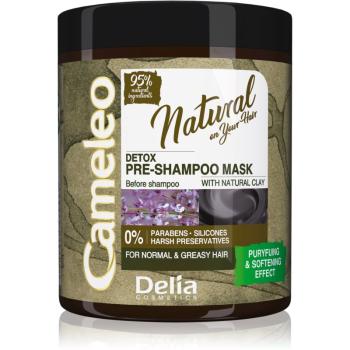 Delia Cosmetics Cameleo Natural tratament pre-sampon pentru par gras 250 ml