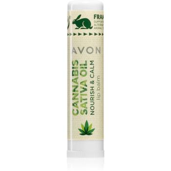 Avon Cannabis Sativa Oil balsam de buze cu ulei de canepa 4,5 g