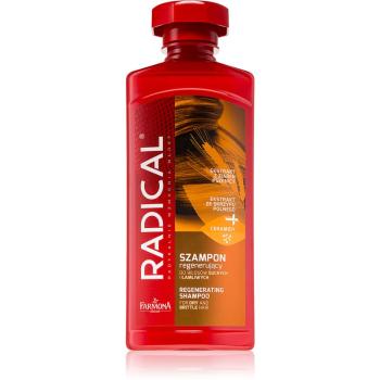 Farmona Radical Dry & Brittle Hair sampon pentru regenerare 400 ml