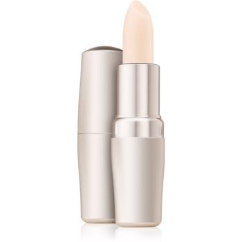 Shiseido Generic Skincare Protective Lip Conditioner balsam de buze 4 g
