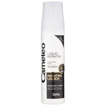 Delia Cosmetics Cameleo BB Keratină lichidă spray pentru par deteriorat 150 ml