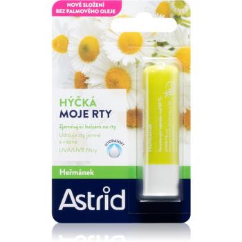 Astrid Lip Care balsam de musetel pentru buze uscate si sensibile efect regenerator 4.8 g