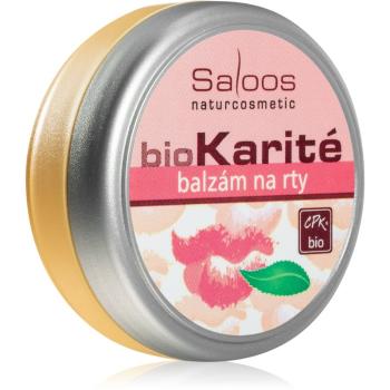 Saloos Bio Karité balsam de buze 19 ml
