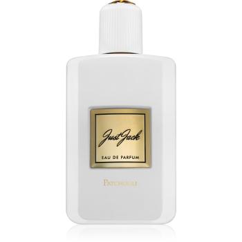 Just Jack Patchouli Eau de Parfum (spray fara alcool)(fara alcool) pentru femei 100 ml