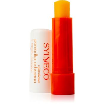Sylveco Lip Care balsam protector efect regenerator 4,6 g