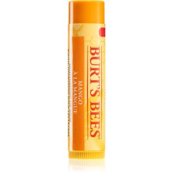 Burt’s Bees Lip Care balsam de buze nutritiv (with Mango Butter) 4,25 g