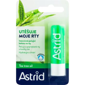 Astrid Lip Care balsam de buze cu ulei din arbore de ceai 4.8 g