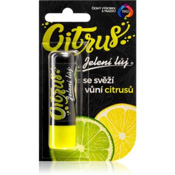 Regina Citrus balsam de buze citrice 4.5 g