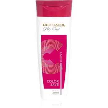 Dermacol Hair Care Color Save sampon pentru par vopsit si deteriorat 250 ml