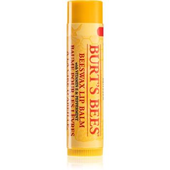 Burt’s Bees Lip Care balsam de buze cu ceara de albine (with Vitamin E & Peppermint) 4.25 g