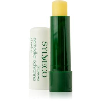 Sylveco Lip Care balsam de buze protector unt de shea 4,6 g