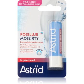 Astrid Lip Care balsam nutritiv pentru buze sensibile cu Panthenol 4.8 g