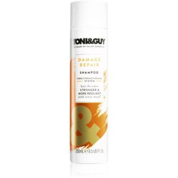 TONI&GUY Damage Repair șampon pentru par deteriorat 250 ml