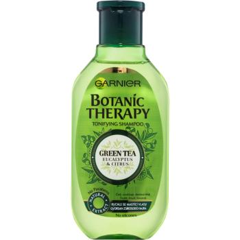 Garnier Botanic Therapy Green Tea șampon pentru păr gras 250 ml