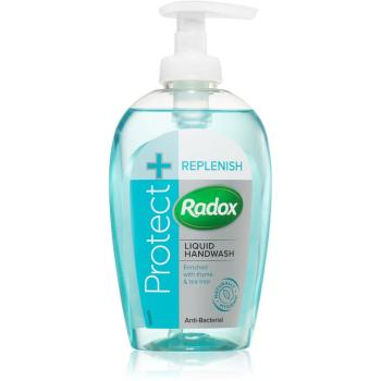 Radox Protect + Replenish săpun lichid antibacterial 250 ml