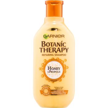 Garnier Botanic Therapy Honey șampon regenerator pentru par deteriorat 400 ml