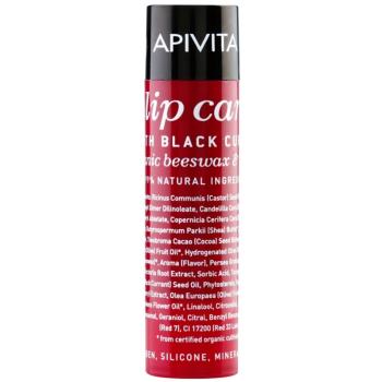 Apivita Lip Care Black Currant Balsam de buze hidratant 4.4 g