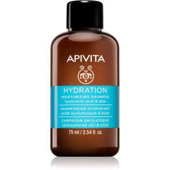 Apivita Holistic Hair Care Hyaluronic Acid & Aloe sampon hidratant pentru toate tipurile de păr 75 ml