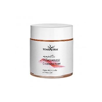 Soaphoria Nourishing & regenerare de curățare spuma să se usuce și îmbătrânire a pielii ( Cleansing Foam) 100 ml