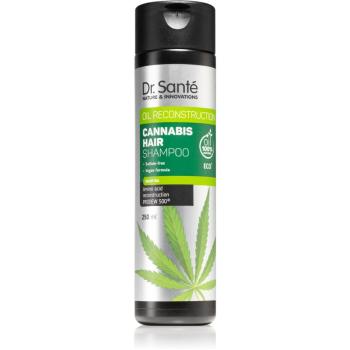 Dr. Santé Cannabis sampon pentru regenerare cu ulei de canepa 250 ml