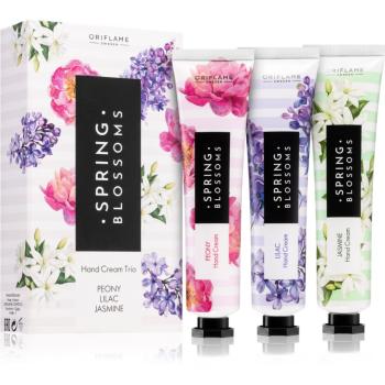 Oriflame Spring Blossoms set de cosmetice pentru femei