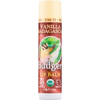 Badger Classic Vanilla Madagascar balsam de buze 4.2 g