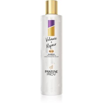 Pantene Volume + Repair șampon cu efect de volum pentru părul fin 250 ml