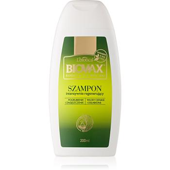 L’biotica Biovax Bamboo & Avocado Oil șampon pentru regenerarea părului slab și deteriorat 200 ml