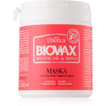 L’biotica Biovax Opuntia Oil & Mango masca pentru regenerare pentru par deteriorat 250 ml