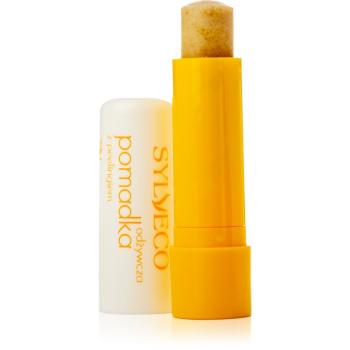 Sylveco Lip Care balsam de buze cu efect exfoliant 4,6 g