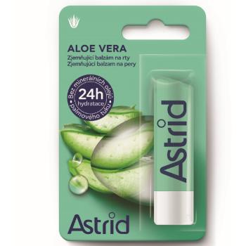 Astrid Balsam de buze hidratant cu Aloe Vera 4,8 g