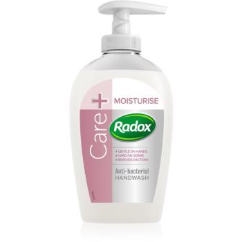 Radox Feel Hygienic Moisturise săpun lichid antibacterial 250 ml