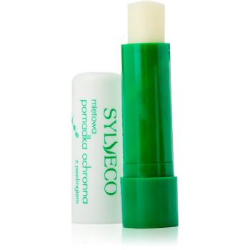 Sylveco Lip Care balsam exfoliant de buze 4,6 g