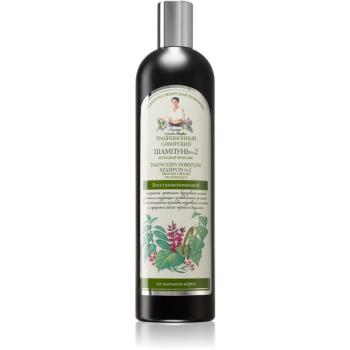 Babushka Agafia Traditional Siberian Birch Propolis șampon regenerator 550 ml