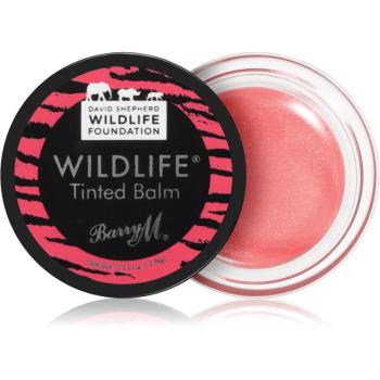 Barry M Wildlife balsam de buze tonifiant culoare Sunset Pink 3.6 g