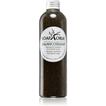 Soaphoria Hair Care sampon lichid organic pentru par gras 250 ml