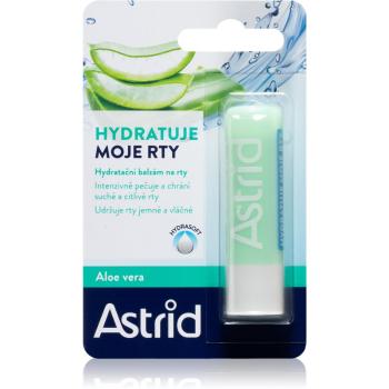 Astrid Lip Care Balsam de buze hidratant cu aloe vera 4.8 g