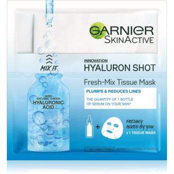 Garnier Skin Naturals Fresh Mix Mask Hyaluron masca pentru tenul uscat 33 g