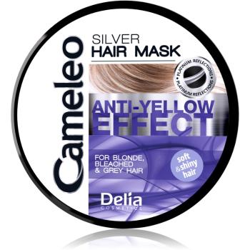 Delia Cosmetics Cameleo Silver Masca de par neutralizeaza tonurile de galben 200 ml