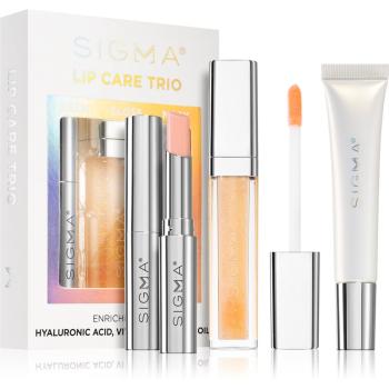 Sigma Beauty Lip Care Trio set de cosmetice (de buze)