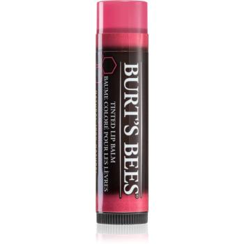 Burt’s Bees Tinted Lip Balm balsam de buze culoare Hibiscus 4.25 g