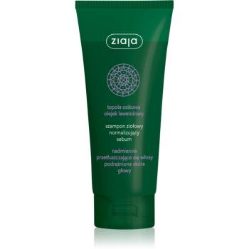 Ziaja Herbal șampon pentru păr gras 200 ml