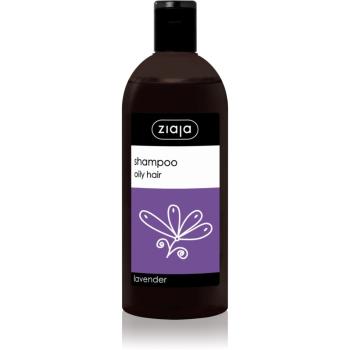 Ziaja Family Shampoo șampon pentru par gras 500 ml