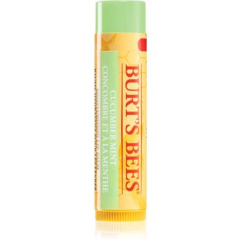Burt’s Bees Lip Care balsam de buze (with Cucumber & Mint) 4.25 g