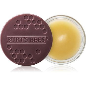 Burt’s Bees Lip Treatment tratament de noapte intensiv de buze 7.08 g